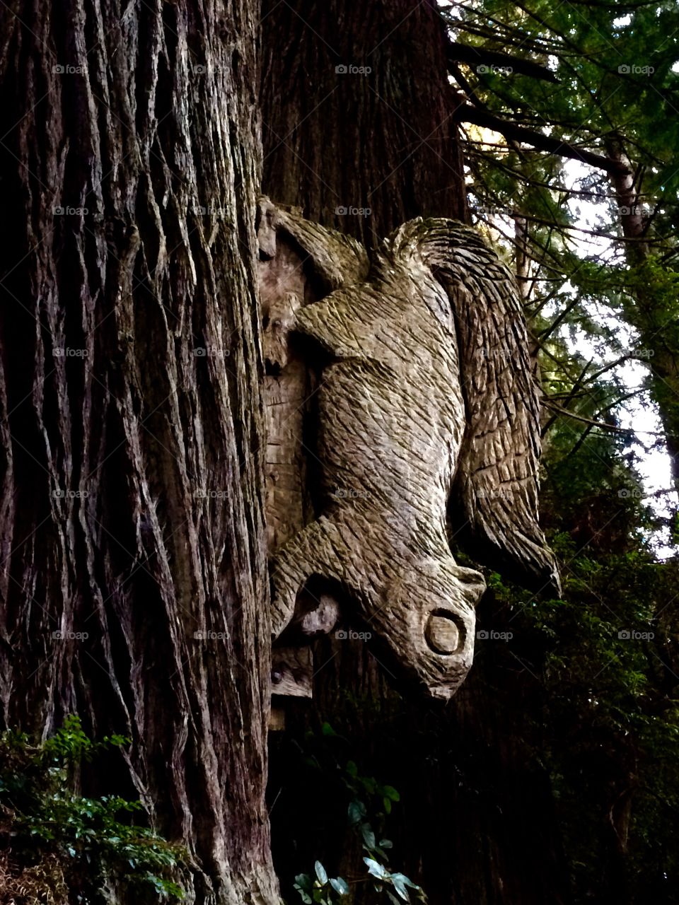 Wooden squirrel carved out of tree