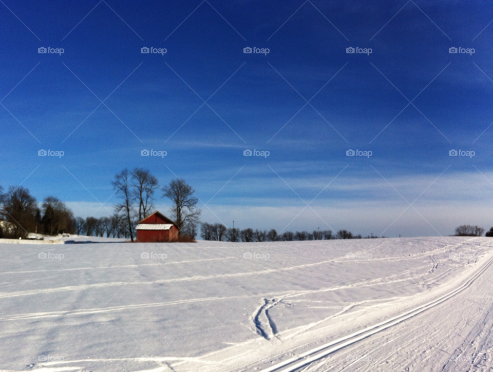 snow winter blue sunny by cassiel_a