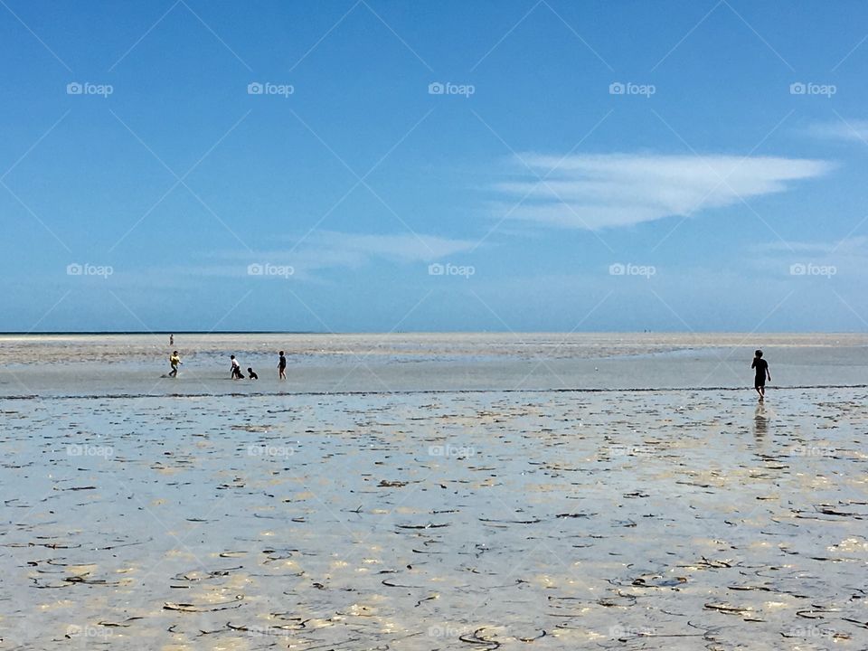 Extreme low tide, people in distance 