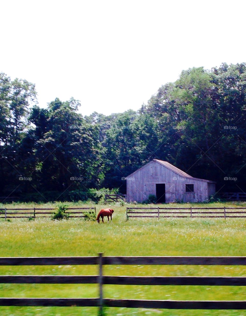 Horse grazing in fenced in pasture. There's a stable or barn. Farmland is surrounded by trees.