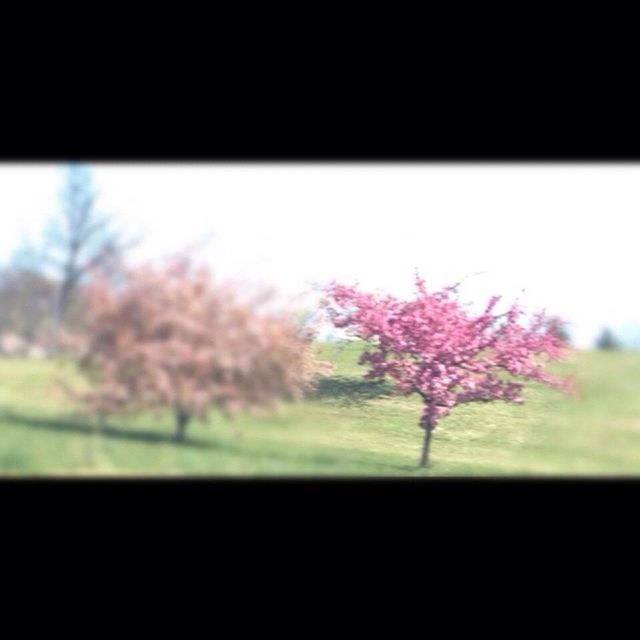 Spring 