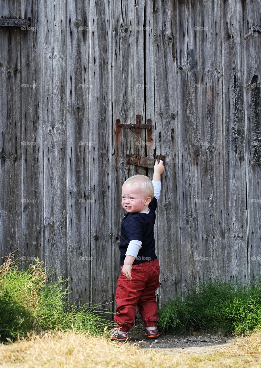 Let Me In. A toddler tries to unlock a barn door with out success.