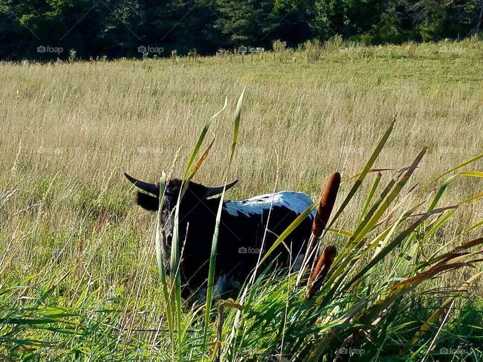 Driving the Back Roads and enjoying everything around us