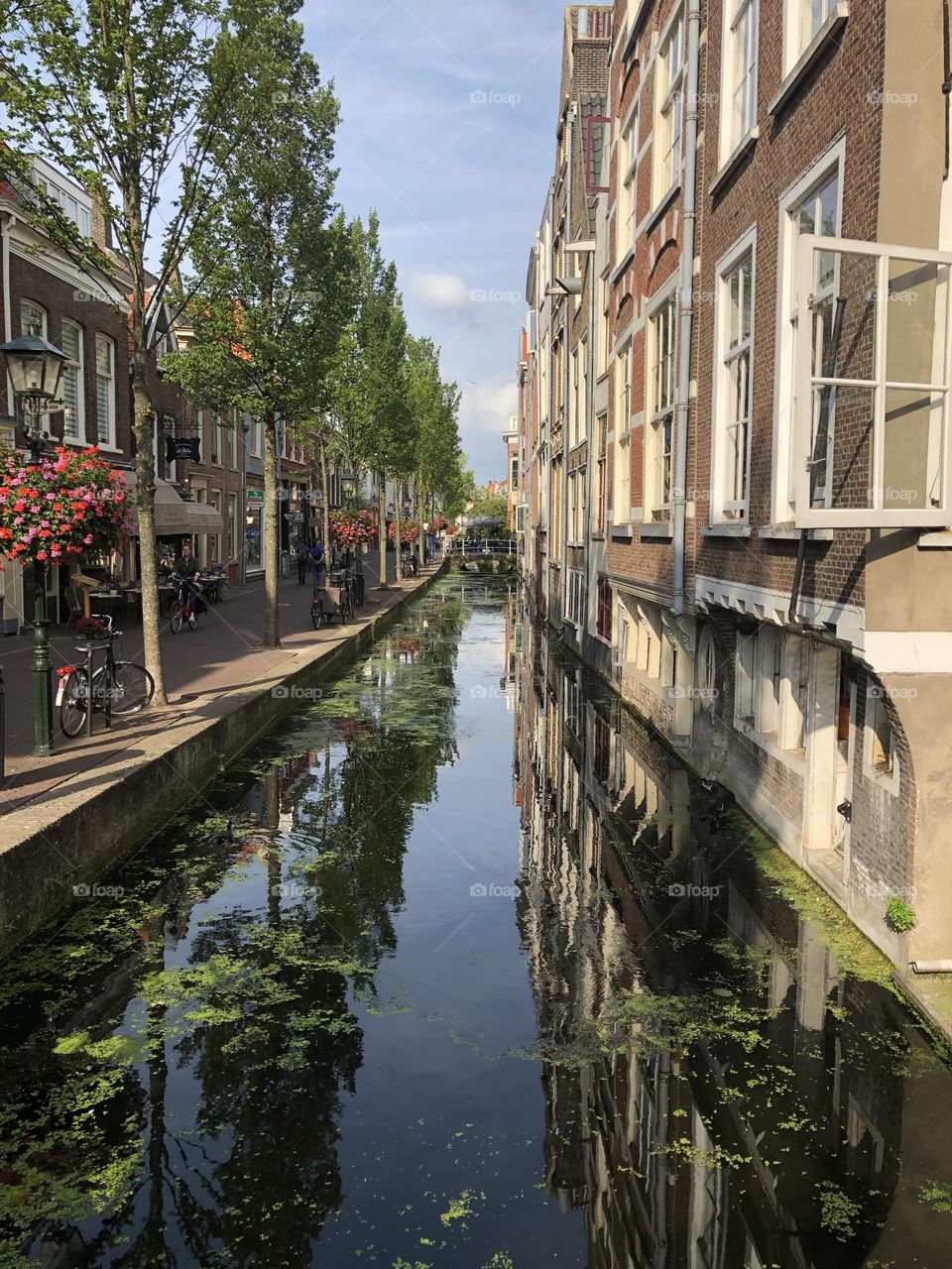Residences along the canal 