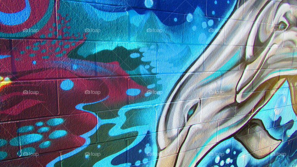 eye of the dolphin. graffiti street art on the side of a building