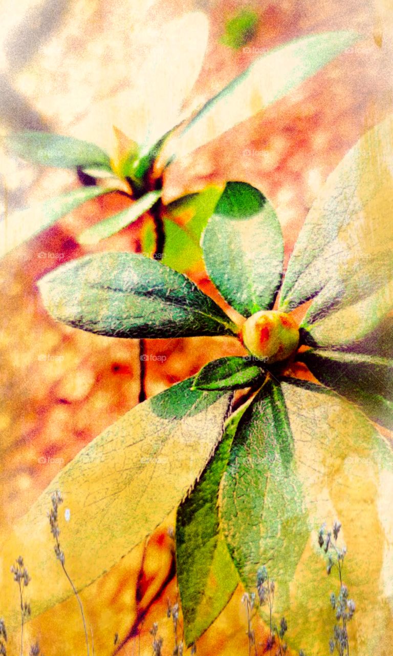 this happens at 1in the morning 👀