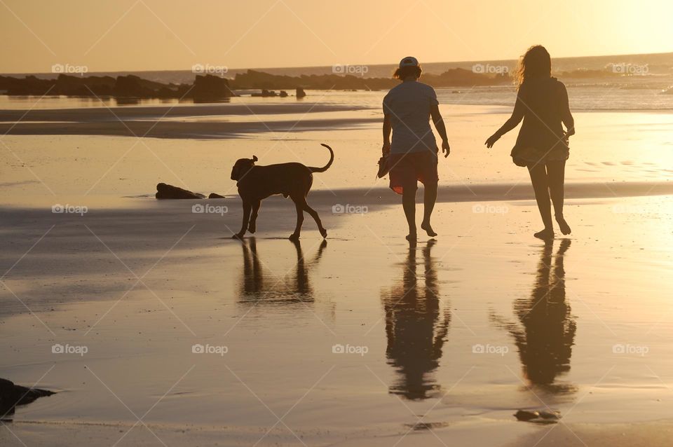 Walking in the beach at golden hour 
