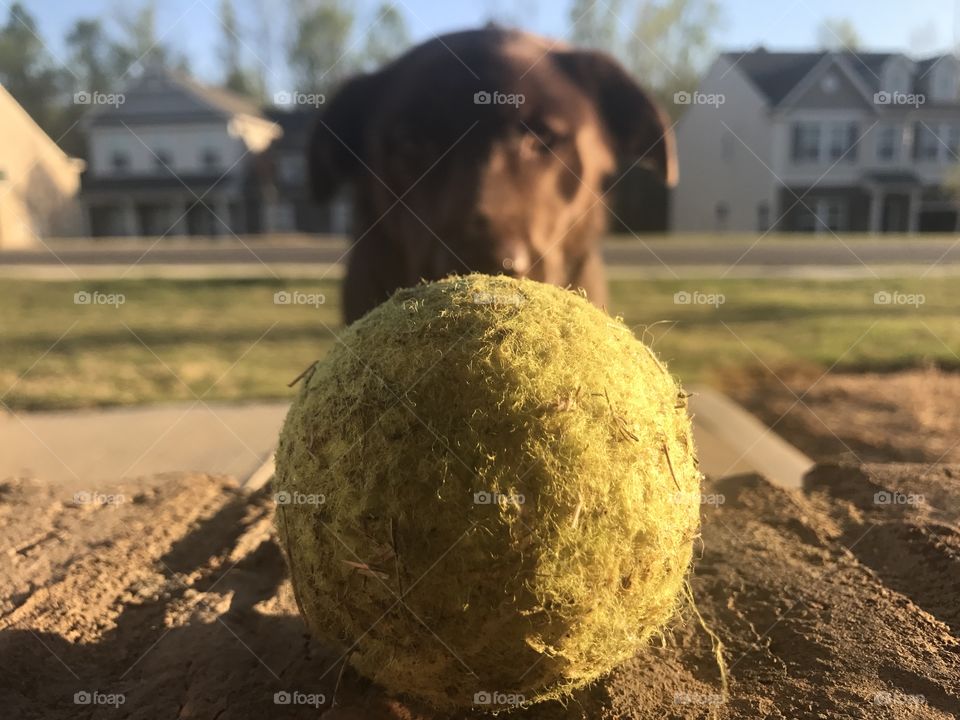 He loved his balls