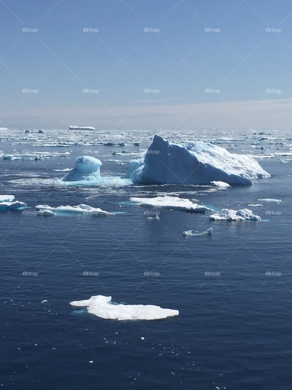 Iceberg and ice flow, North Atlantic Ocean. 