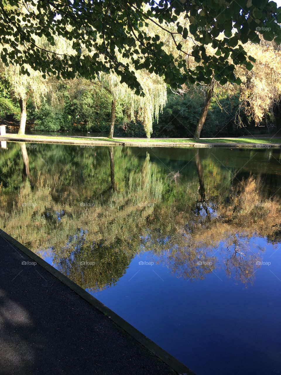 A stunning afternoon in Bicclescombe Park in Ilfracombe, North Devon. Autumn is here, sunshine is out and the clear reflections bring clarity to the day.