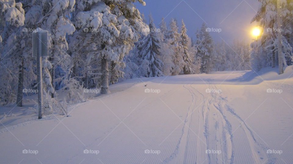 Lapland