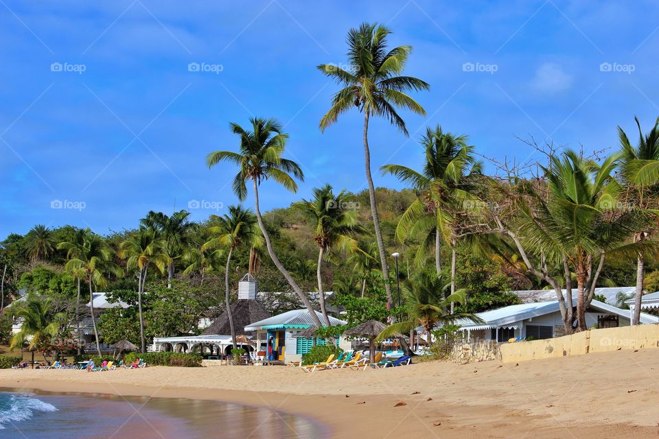 Caribbean resort beach scene