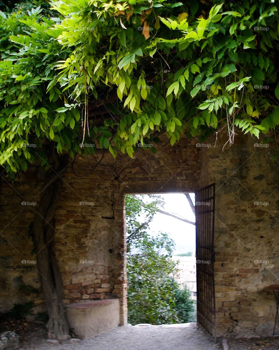 Italy. Toscana. San-Gimignano. View 
