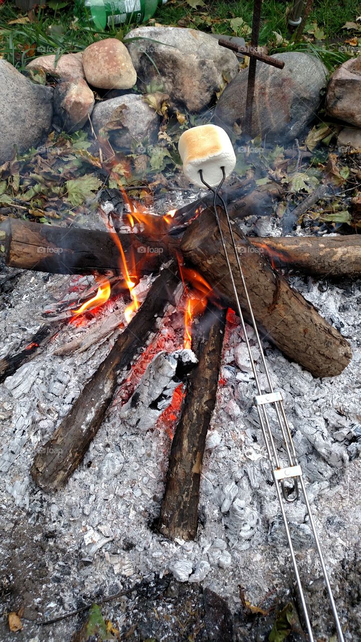 Slow roasting the perfect jumbo marshmallow