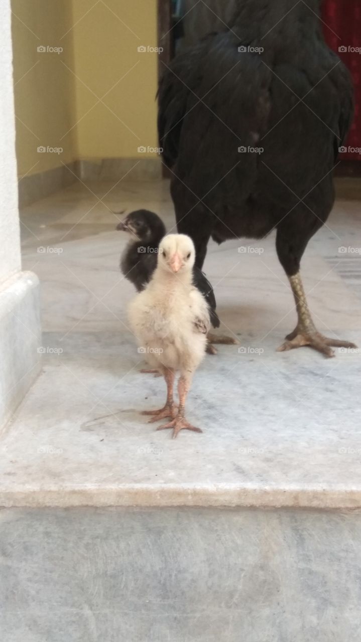 nice little equity check