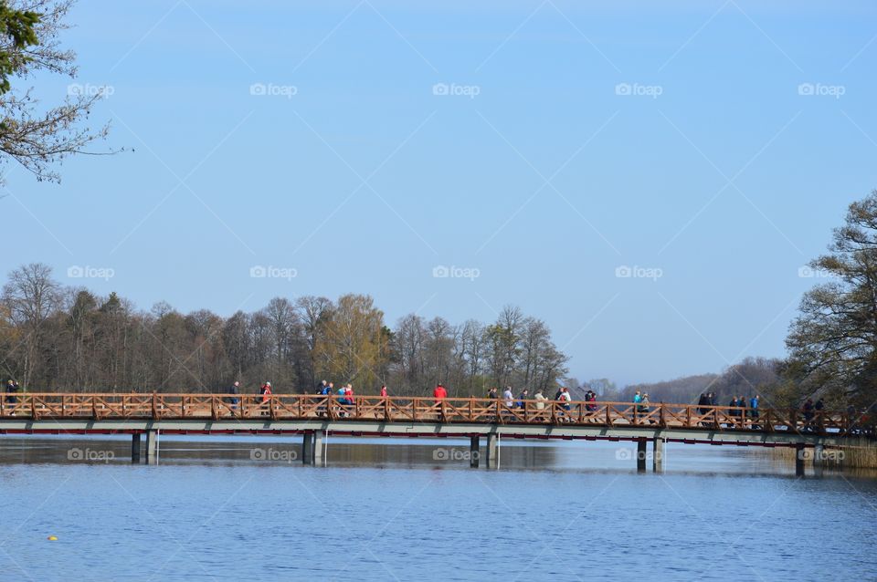 bridge and tourists