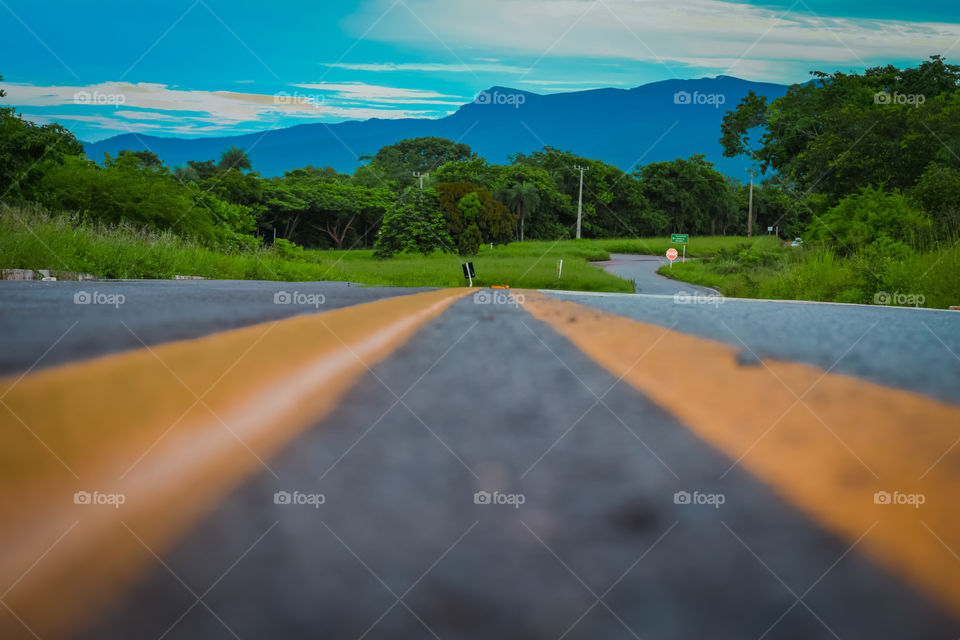 View of road passing through forest