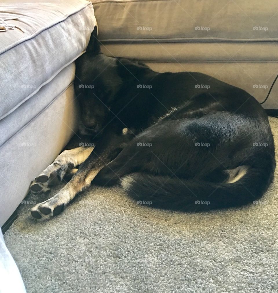 Too tired to Function 