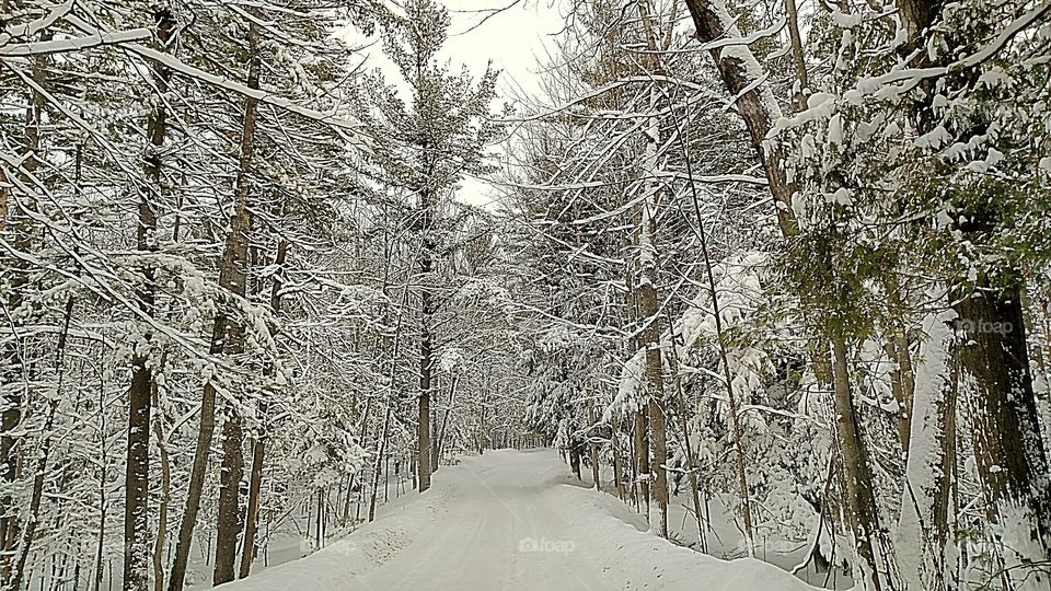 Fresh snowfall on back roads