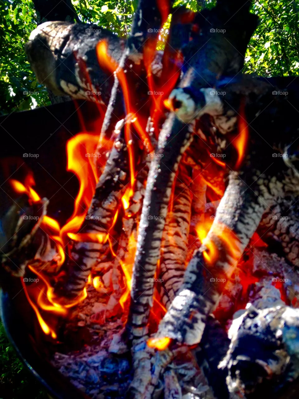 Fire