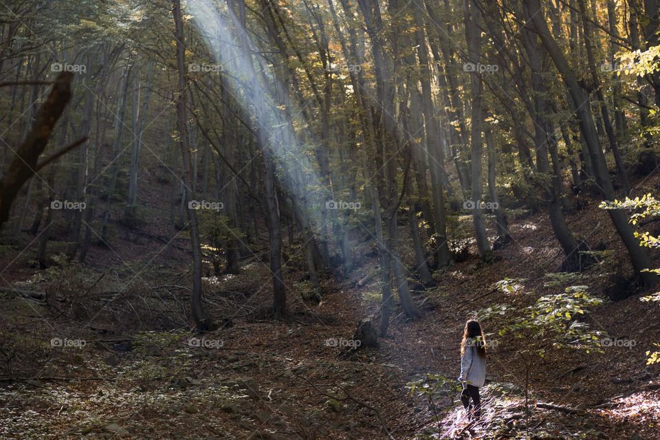 Sunbeam in the forest over the woman