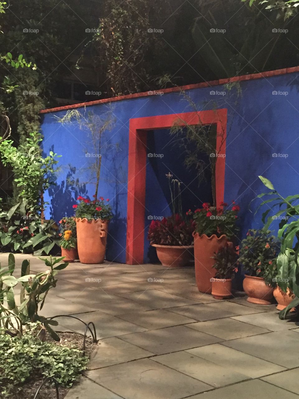 La Casa Azul. Visiting the garden at La Casa Azul recreated by the Botanical Garden in NY