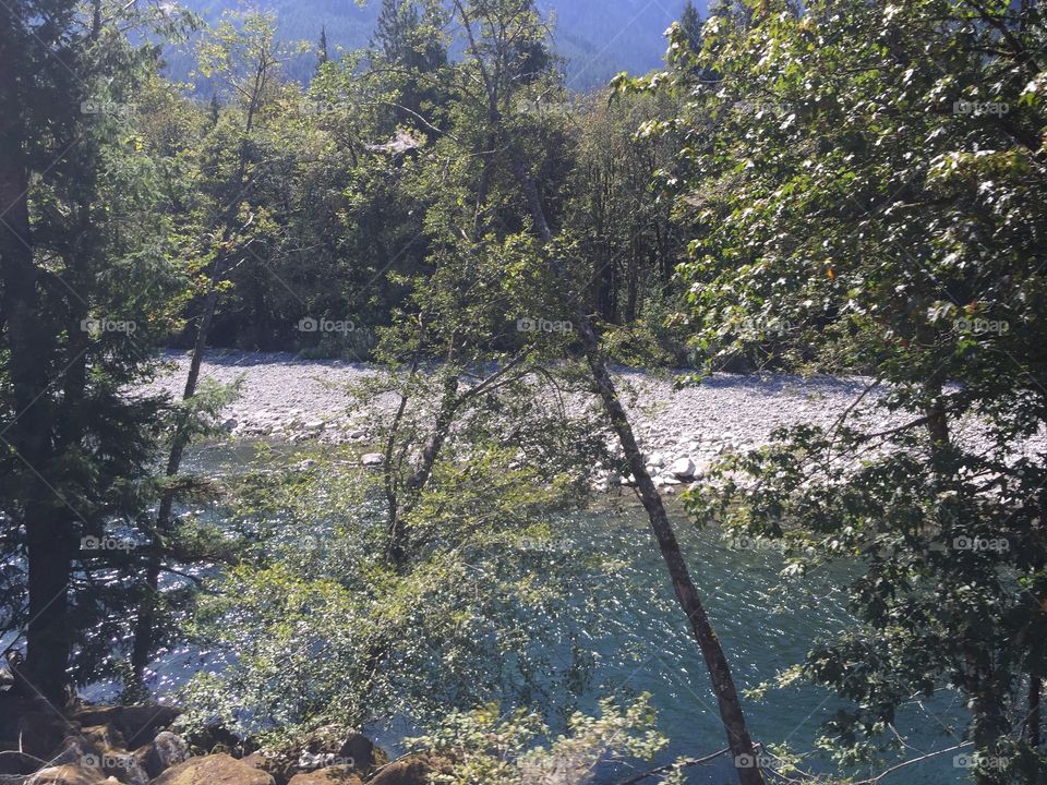 Tree, Water, No Person, Landscape, Nature