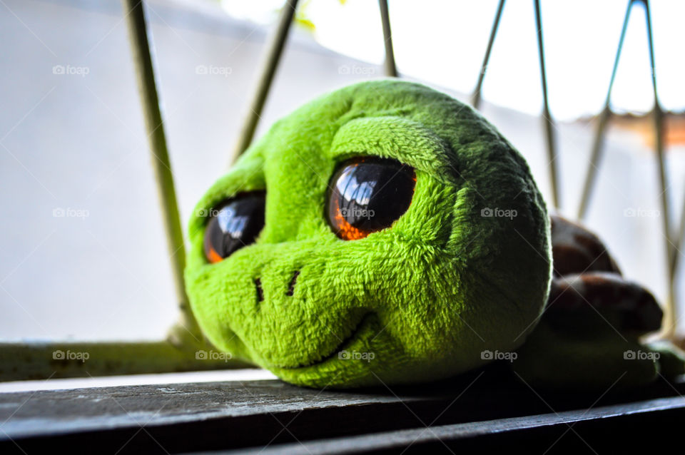 Close-up of green stuffed toy