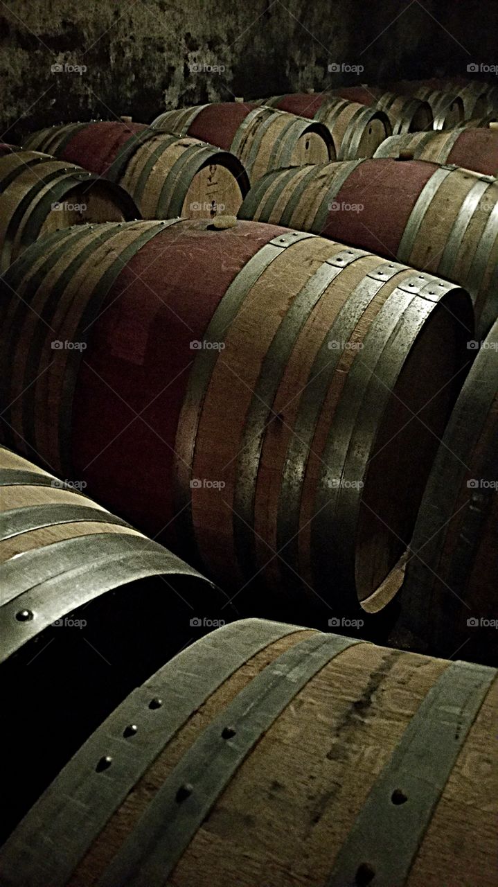 Chianti Barrels Fermenting