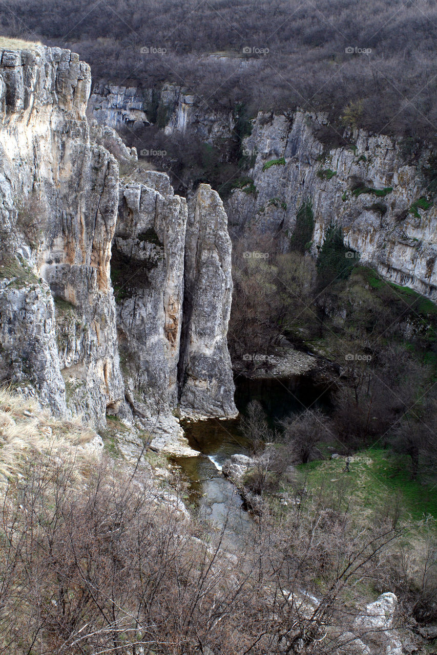 Limestone rocks