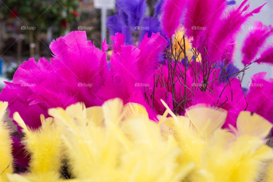 Pink an yellow easter feathers.