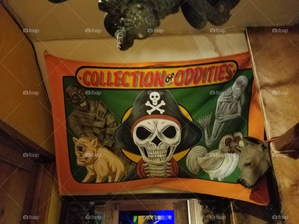 Collection of Oddities