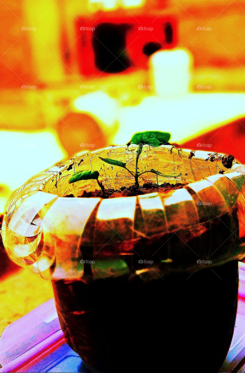 #foap #infoapartemen #foapjuly18 #foapaug18 #foapfeb18 #foapapril17 #foapers #foapjune18 #fotografoaprendiz #sfoapprentices #foaper #infoapartment #foapmission #foapmay18 #foapapr18 #foapit #infoaplikasipaytren #infoapple #foapom #foapjan19 #infoapp 