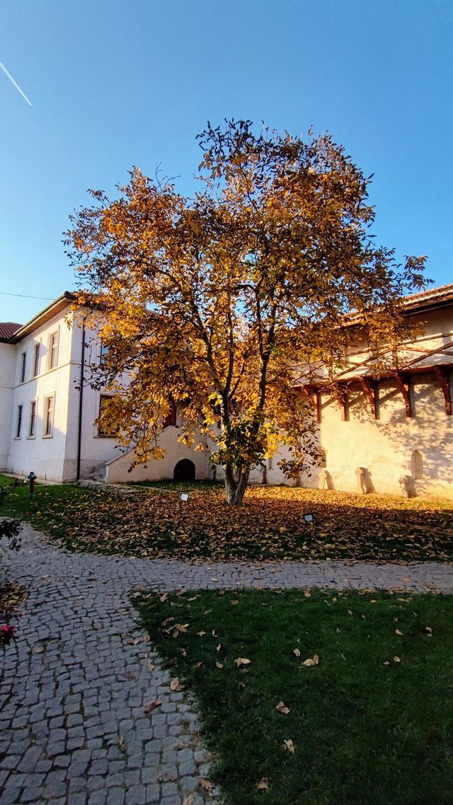 autumn colors