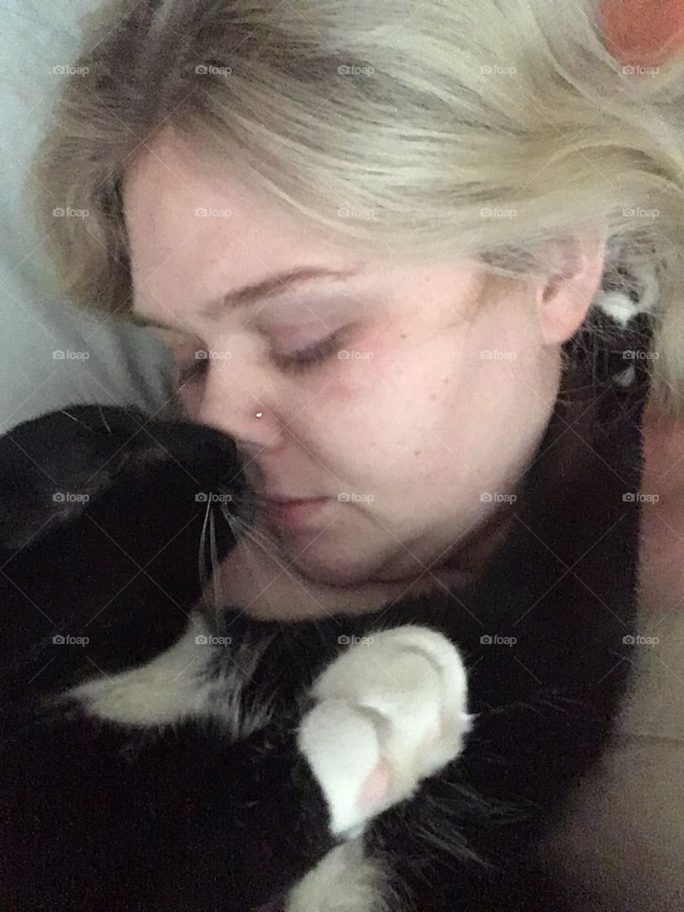 A kitty loves his human