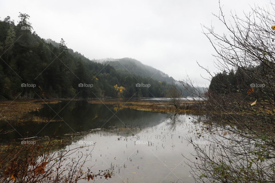 Reflection on the lake in autumn 