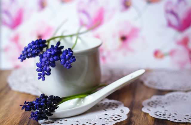 spring flowers blue glitter beautiful 