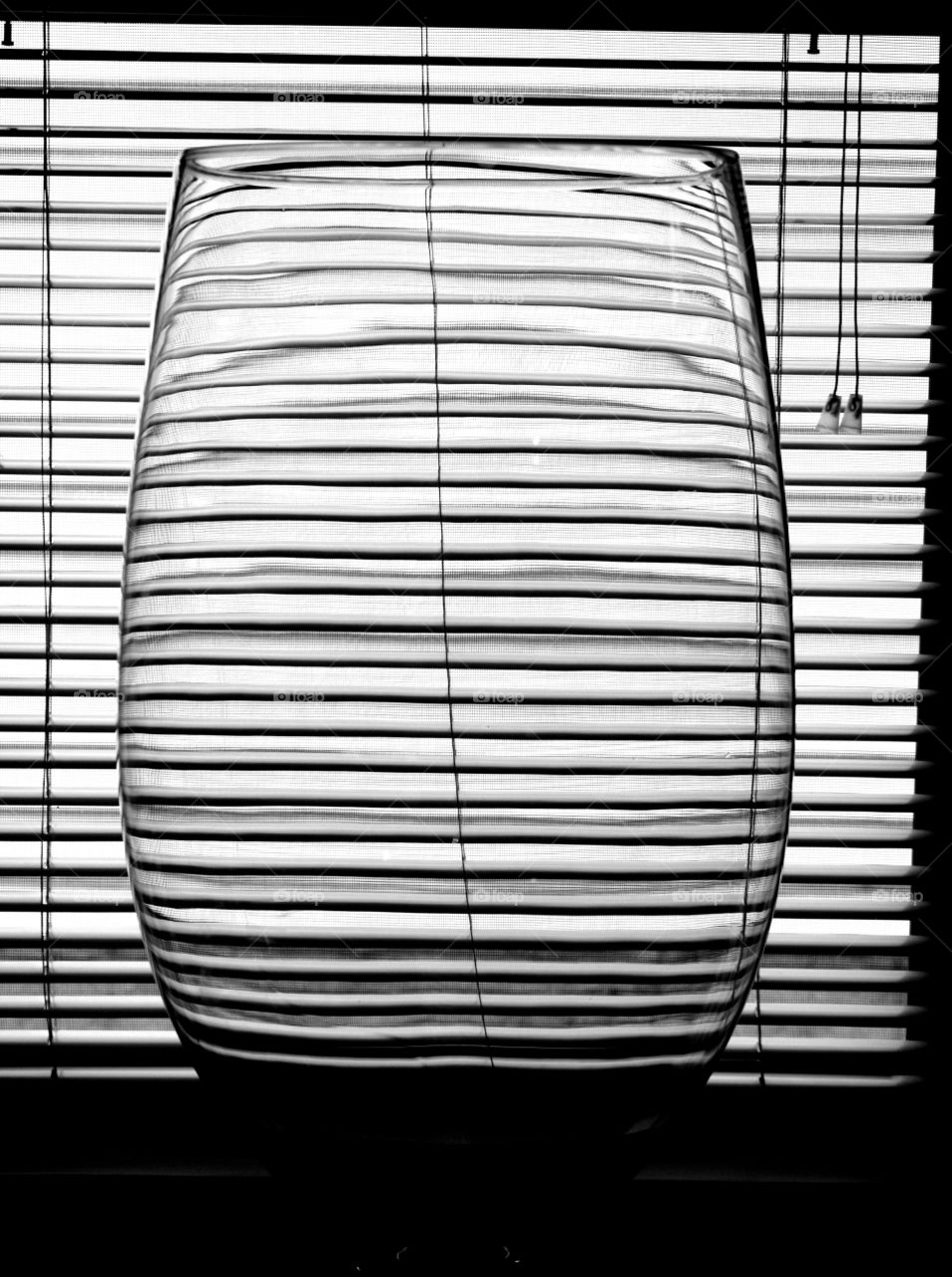 monochrome blinds horizontal lines clear vase translucent abstract