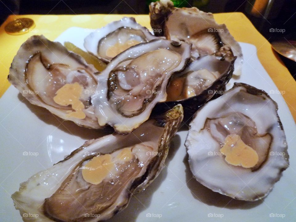 Oysters