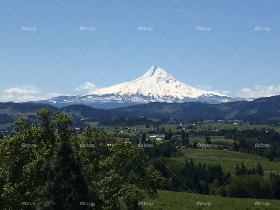 Mt. Hood from Panorama Point!