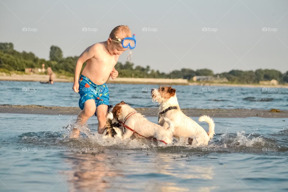 Boy playing with dogs in the ocean. Having fun, family fun, happiness, joy. Being a child. Summerfun