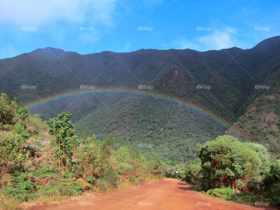 rainbow after the rain