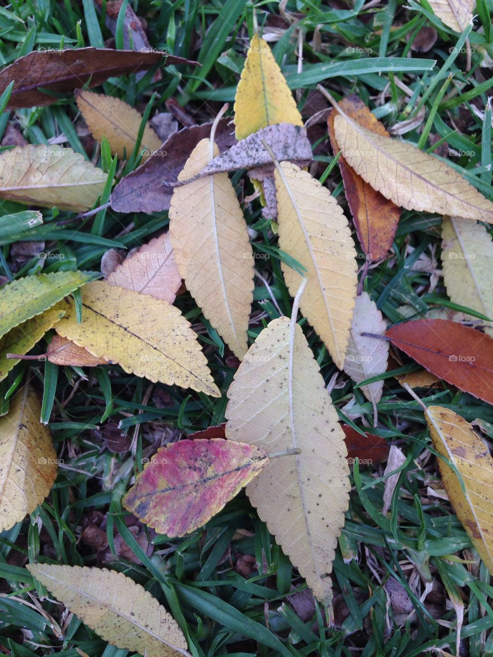 Thanks for everything ...

Published by:
HappyBrownMonkey