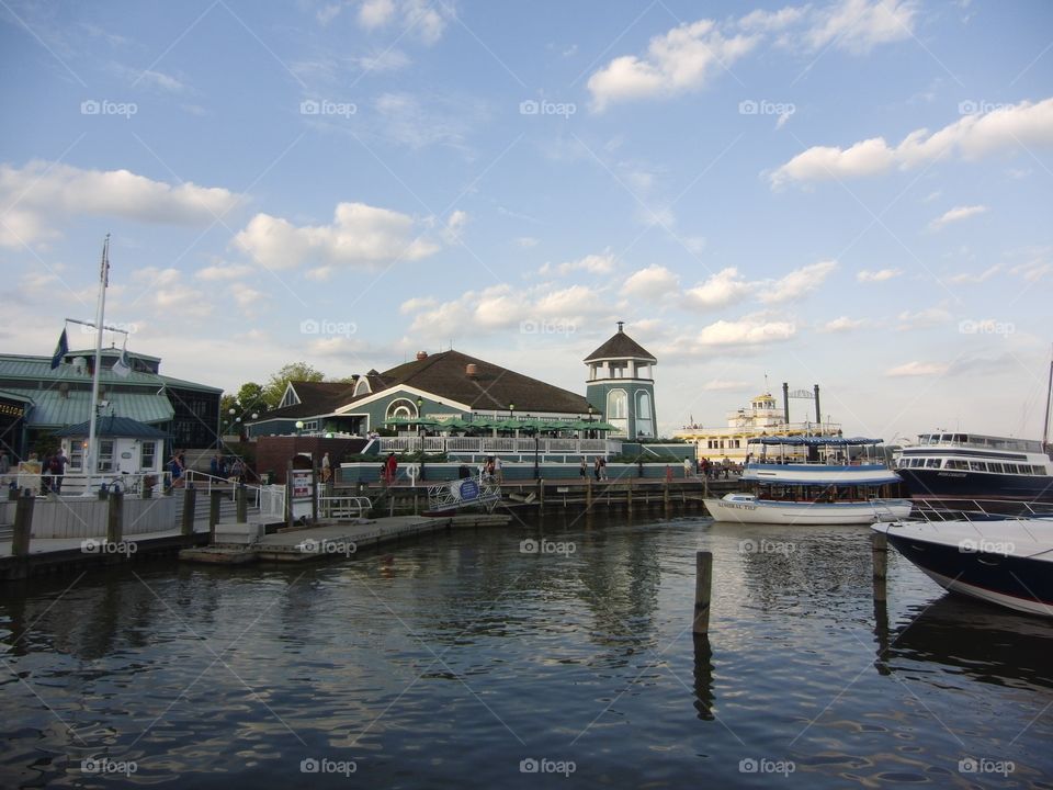 Alexandria Harbor