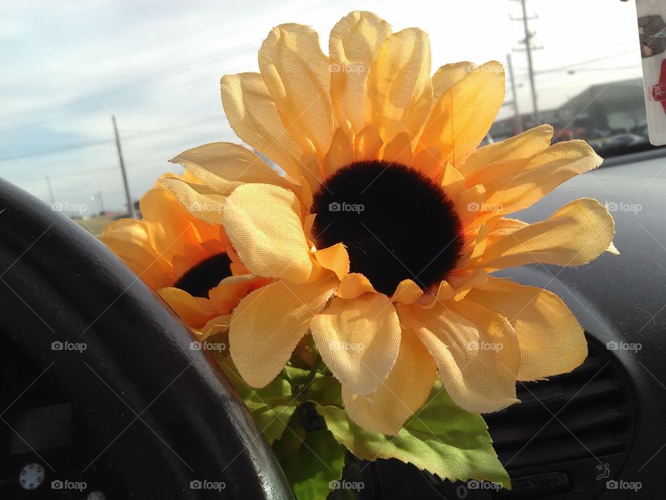 SunFlower . it sits inside a vase inside a beetle bug car.