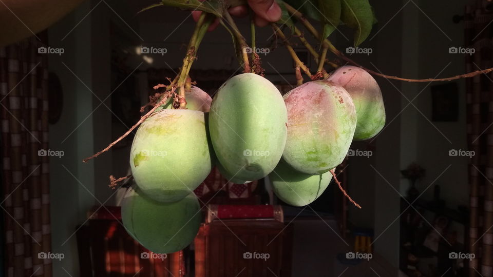 mango's from south India