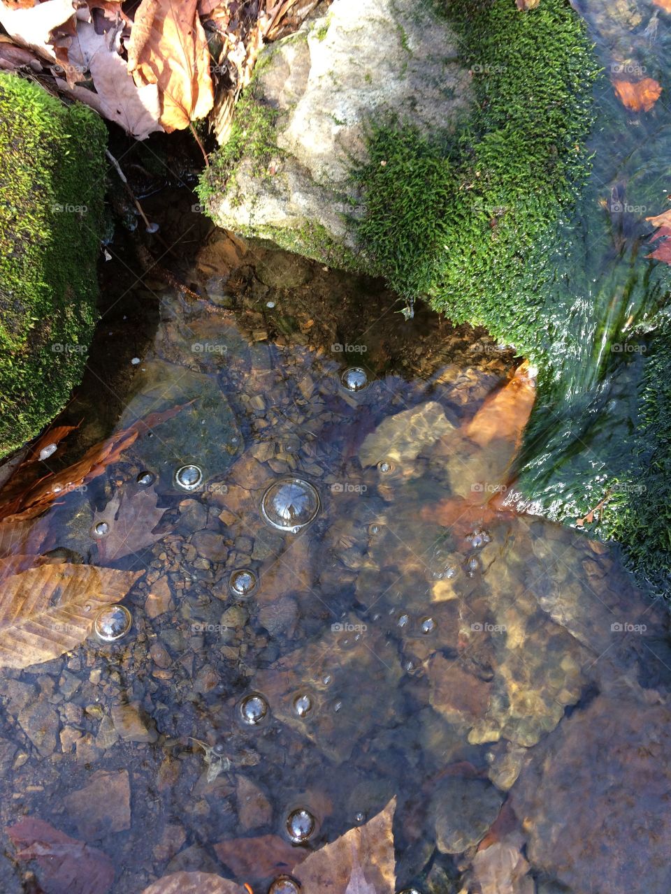 Pool of water from a babbling brook