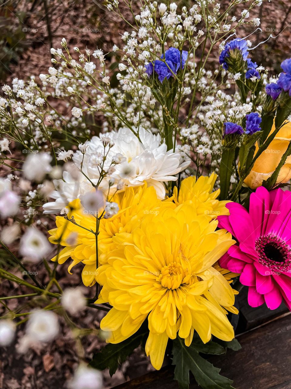 Beautiful spring time flowers. Yellow, pink, blue and white