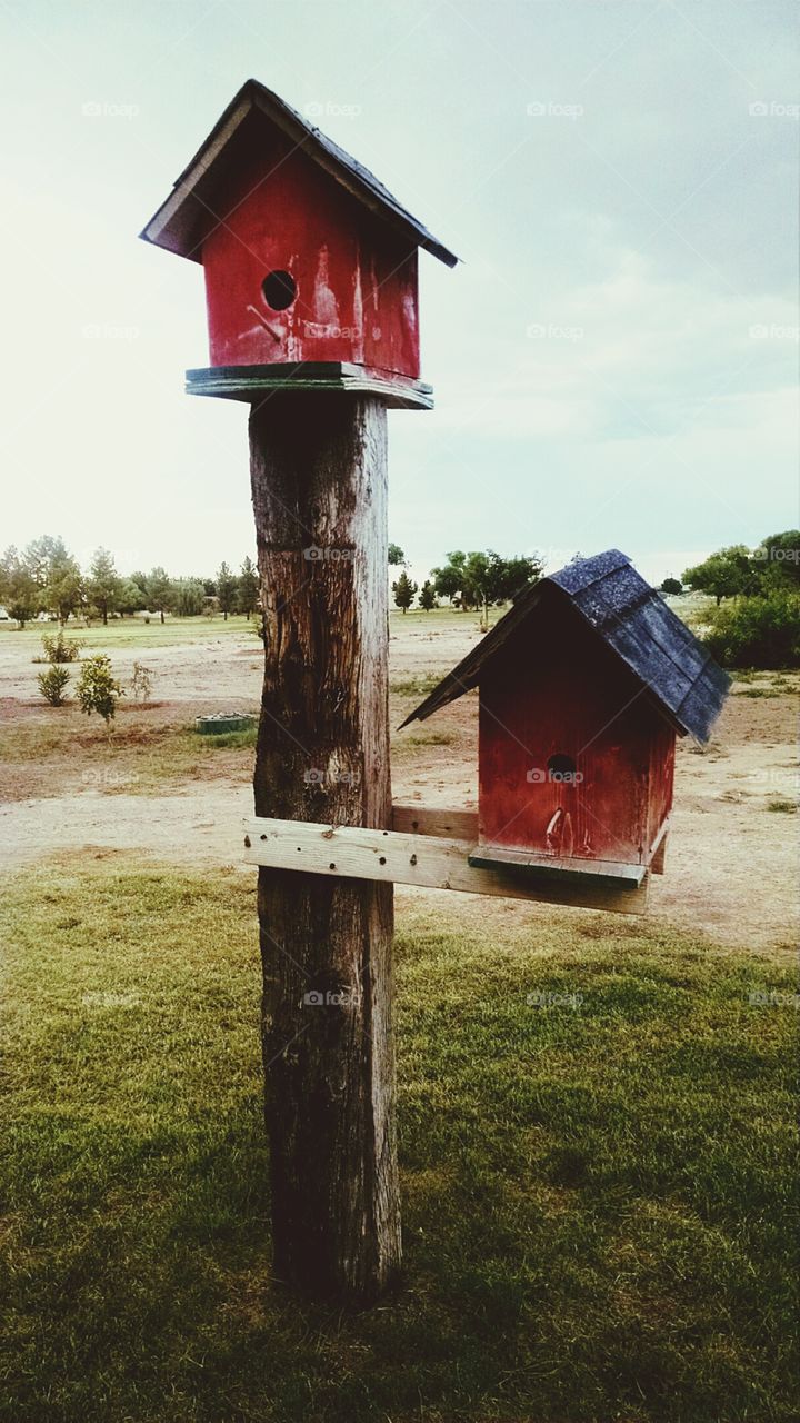 Two Bird Houses In A Golf Course