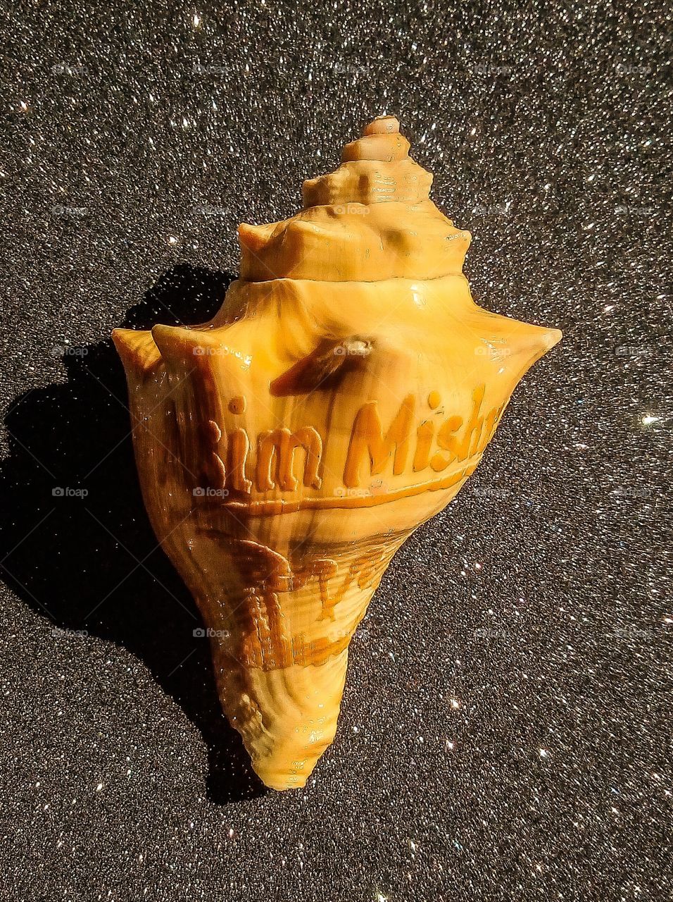 A Shankha is a conch shell of ritual and religious importance in Hinduism. The shankha is praised in Hindu scriptures as a giver of fame, longevity and prosperity, the cleanser of sin and the abode of goddess Lakshmi.